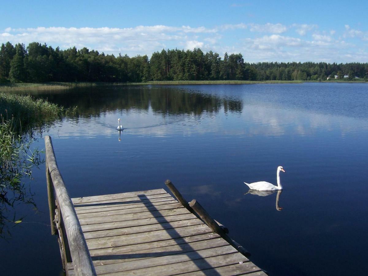 Domwigierski Pl -Jeziorki -Gr- Comfort-Ferienhaus-Polen - Wlasna Linia Brzegowa I Sauna Wysoki Most  外观 照片